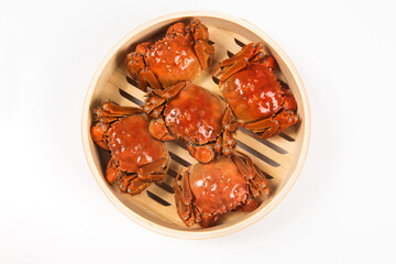 Close up of Chinese mitten crab, shanghai hairy crabs isolated on white background.