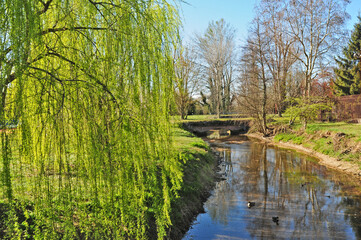 Fototapeta na wymiar Primavera a Basiglio, Parco agricolo Sud Milano
