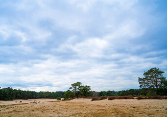 Landscape at Soesterduinen near Amersfoort, Netherlands
