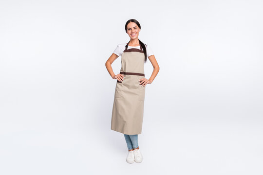 Full size photo of optimistic nice brown hair lady stand wear t-shirt apron isolated on grey color background - Powered by Adobe