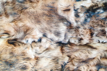 brown and black wool texture background. Faux fur. Texture of brown and black fluffy fur, close up of a long wool carpet. Top view of natural fur