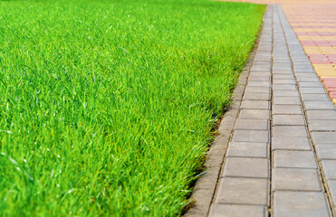 walkway made of paving slabs and green grass as a background, bright sunlight