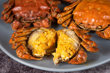 steamed chinese mitten crab, shanghai hairy crab with lots of crab roe