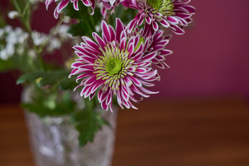 Variegated chrysanthemums.Variegated bush chrysanthemums with a green-yellow core in a crystal vase stand on a table. Russia, Moscow, holiday, gift, mood, nature, flower, plant, bouquet, macro
