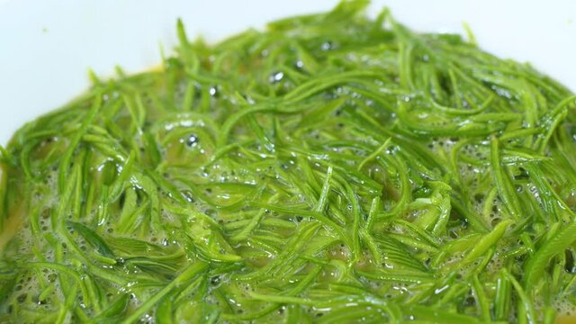 Close up of Acacia Pennata egg to prepare Climbing Wattle fried egg.