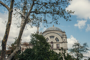 Trees near Mihrimah Sultan Mosque at background, Istanbul, Turkey