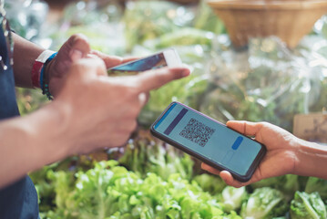 Customers buy organic vegetables from hydroponics farm and pay using QR code scanning system...