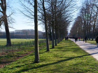 In the park of Versailles during a sunny day. the 6th March 2021.
