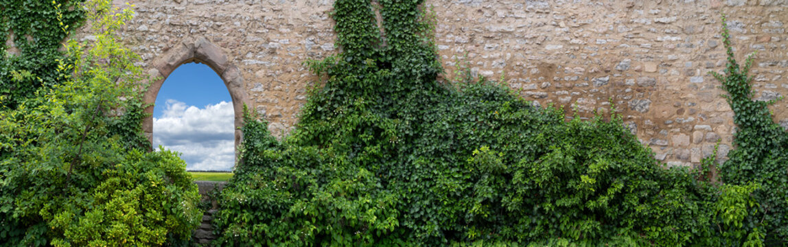 Panorama einer alten, teils bewachsenen Mauer mit einem offenen gotischen Fensterbogen