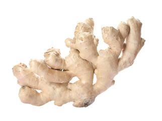 Whole fresh ginger root isolated on white