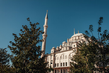 green trees near Mihrimah Sultan Mosque against clear sky, Istanbul, Turkey