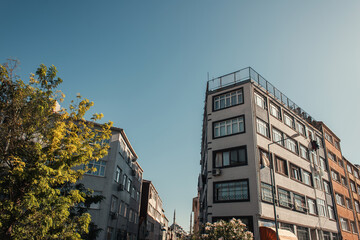 blue sky over contemporary buildings and trees