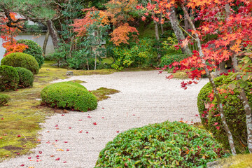 秋の禅を感じる枯山水の日本庭園  Japanese Zen garden in autumn