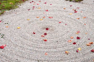 枯山水の庭の渦巻きの白砂と紅葉 A spiral white sand and autumn leaves at the Zen garden in Japan