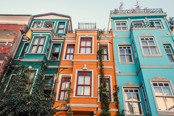 Obraz premium green ivy on multicolored, decorated houses in Jewish quarter in Istanbul, Turkey