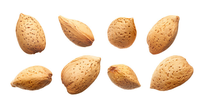 Set of almonds nut in shell isolated on white background