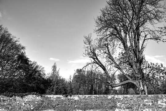 Medieval defensive wall of stones and bricks in the city of Osno in Poland, monochrome
