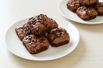 Fototapeta na wymiar dark chocolate brownies topped by chocolate chips