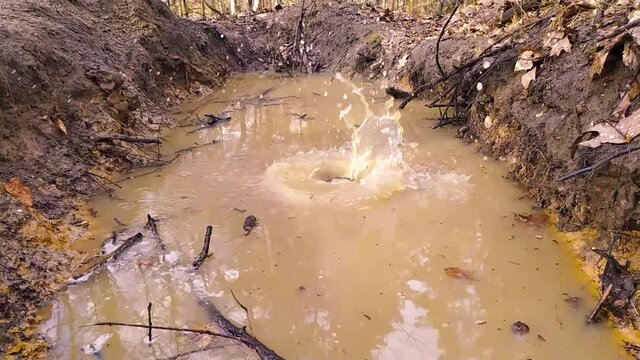 Splashing water in a puddle in slow motion on a rainy day in a forest adventure to enjoy the rain and mud with splash and puddles as outdoor adventure and outdoor activity with family and friends