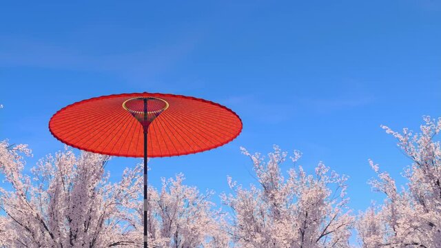赤い野点傘と満開の桜・青空に舞う花びらの3Dモーショングラフィックス / 日本の春の象徴的イメージ / Red field umbrellas, cherry blossoms in full bloom, petals dancing in the blue sky: motion graphics with 3D rendering.