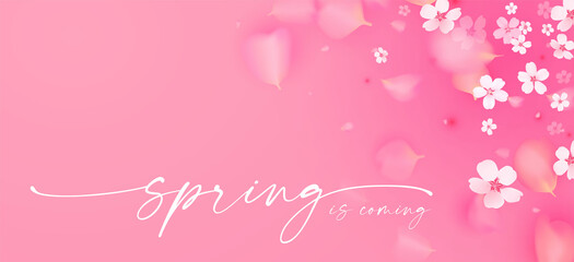 Obraz na płótnie Canvas Flowes and Petals. Realistic 3D background. Pink cherry blossom design. Spring time