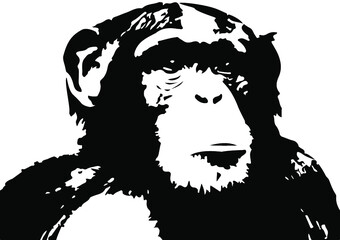 Illustration of a monkey