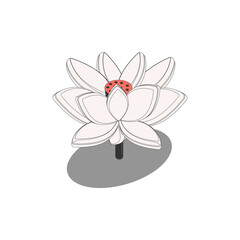 Chinese Lotus Isometric Composition