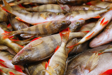 River perches carcasses prepared for cooking