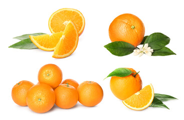 Set with tasty ripe oranges on white background