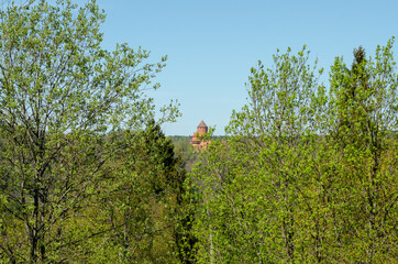 Spring hills