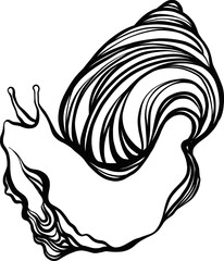 Hand drawing line art snail