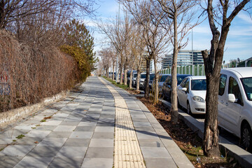 roadside, pavement view, trees and cars on one side