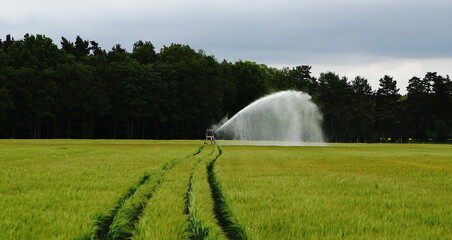 Irrigation system in the field