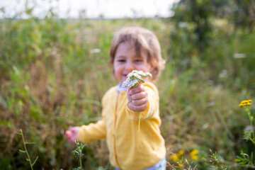 adorable little toddler stretches a flower into the camera in a summer field on a sunny day