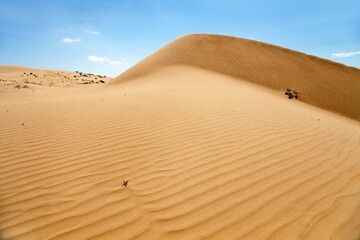 Fototapeta na wymiar Cerro Blanco sand dune, Nasca or Nazca, Peru