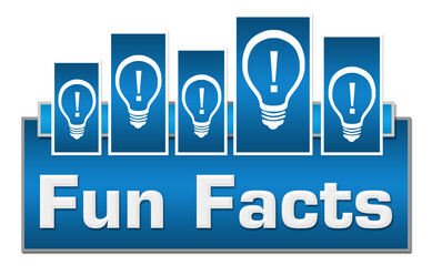 Fun Facts Blue Boxes On Top Bulbs 