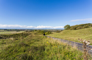 Obraz premium Countryside Landscape with a tree