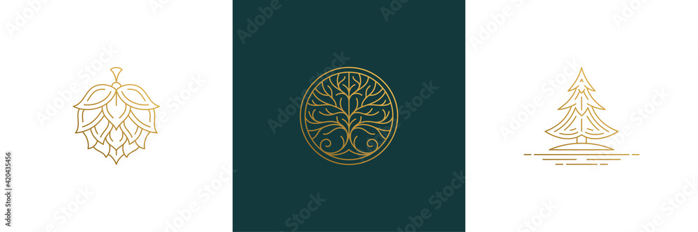 Wall mural vector line elegant decoration design elements set - tree and hop illustrations minimal linear style
