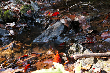 自然にできた天然の氷