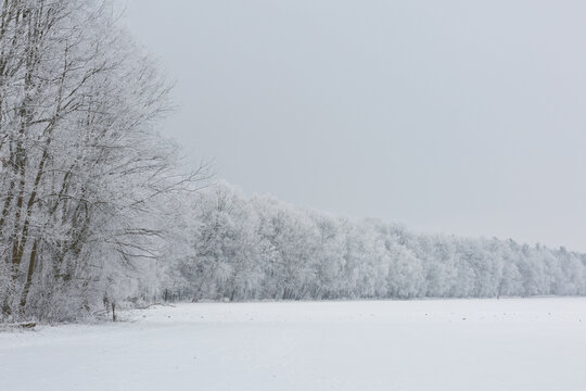 Gorgeous winter landscape with snow and fog, Pardubice, Czech republic