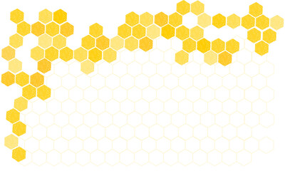 Honeycomb beehive with hexagon grid cells on white background vector illustration.