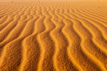 Fototapeta premium Sand dunes in Mui Ne