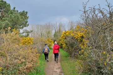 Retired Hikers on the path at Ploumanach in Brittany. France