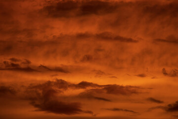 Obraz premium Altostratus clouds in golden sunset. Evening Cloudscape.