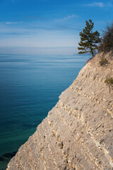 Fototapeta na wymiar Beautiful landscape sea view, vertical shot. Pine on a rock on Black Sea coast