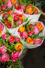 Spring tulips floral tulip bunch