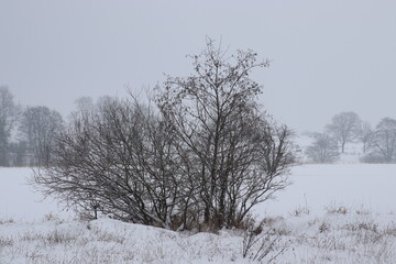 Fototapeta na wymiar Winter Natur Landschaft