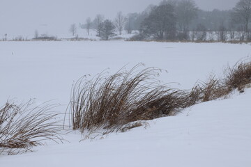 Winter Natur Landschaft