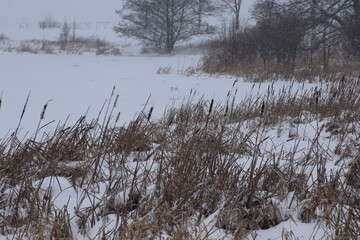 Winter Natur Landschaft