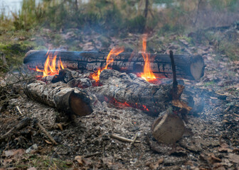 landscape with a burning campfire on the lake shore, glowing wooden logs and red fire flames